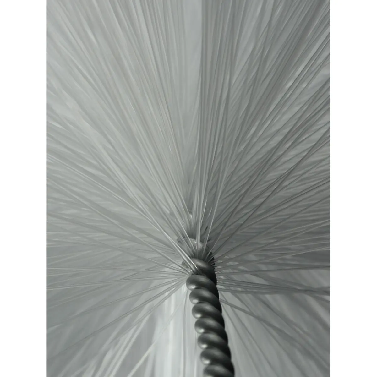 Cepillo especial bola - nylon