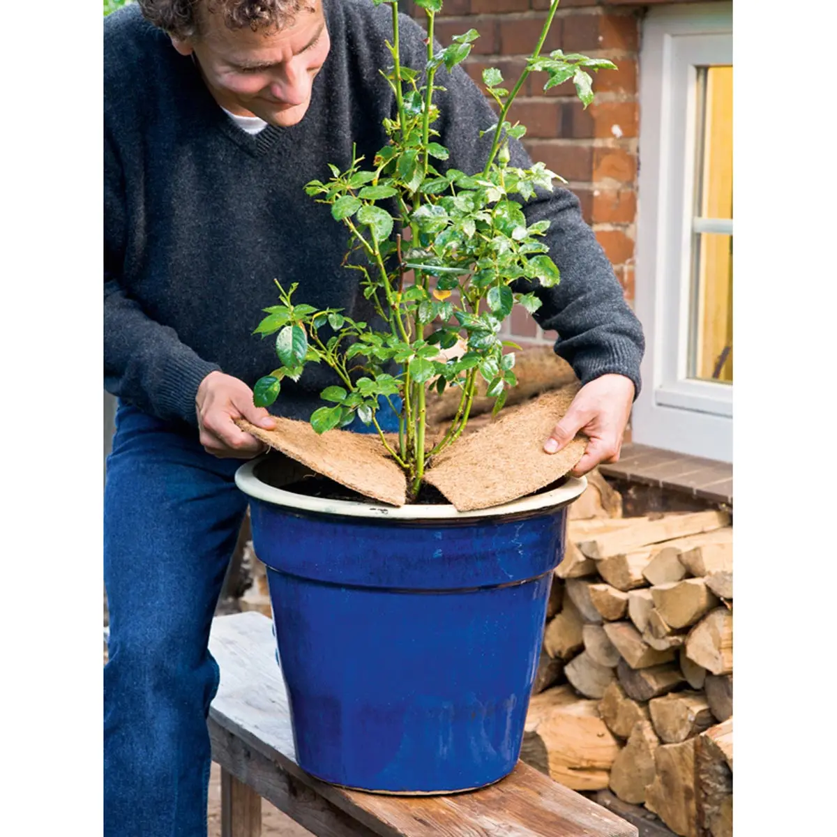 Coco protección para plantas esterilla, 45 cm