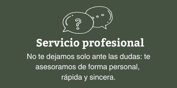 Servicio profesional