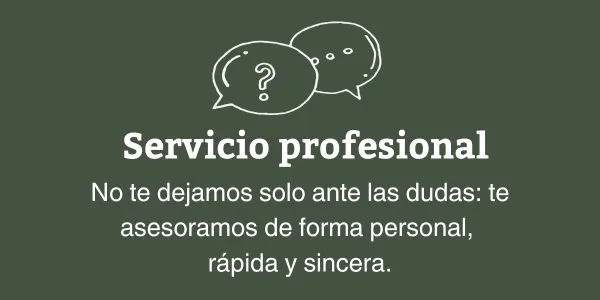 Servicio profesional