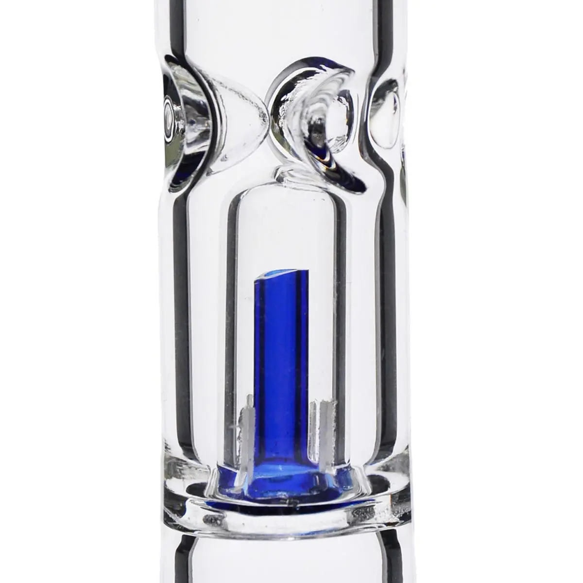 Black Leaf Nautilus "Smart Squid"