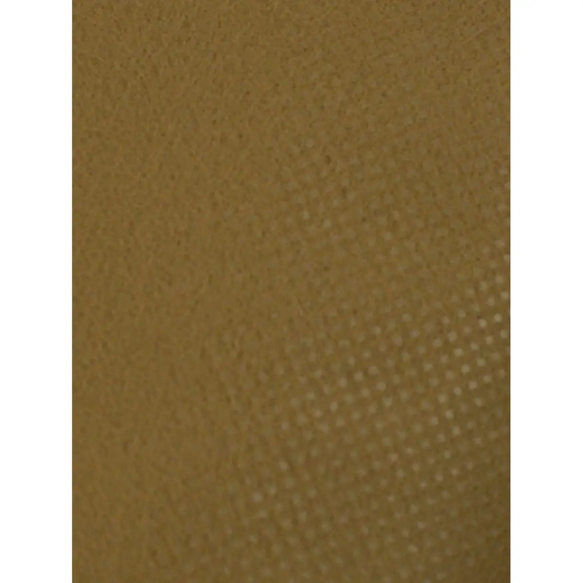 Vellocino  protección de Invierno, 5 x 1,5 m, 30 g / m²