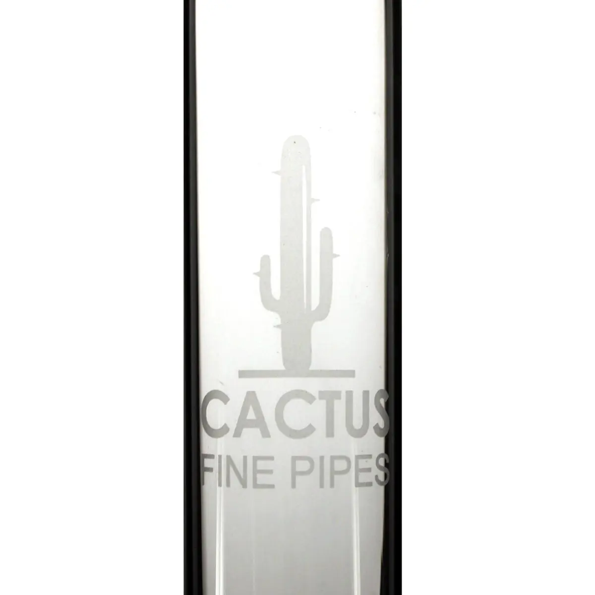 Cactus bong de cristal 46cm