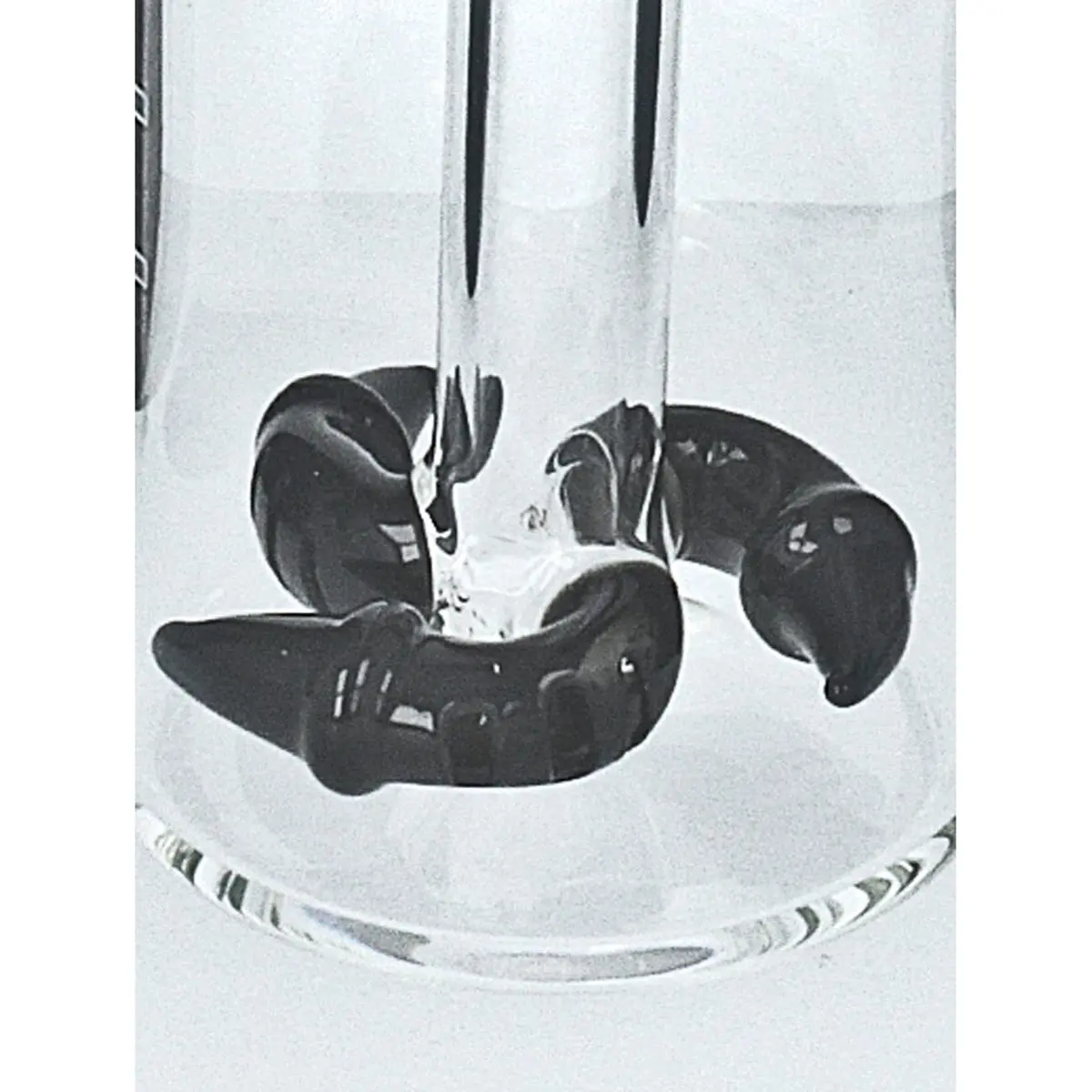 Jelly Joker Enfriador 'Boomerang' 14,5