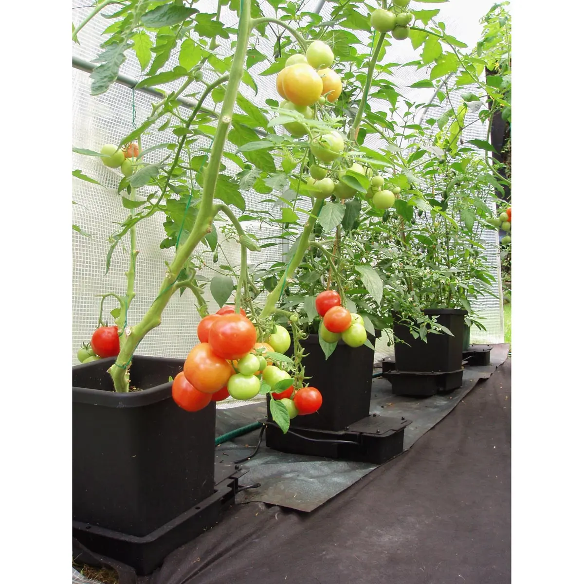 AutoPot 1Pot modular extension Kit