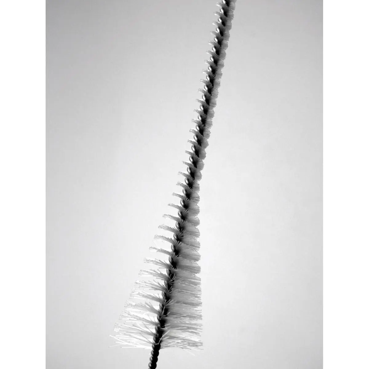 Cepillo de shilum cónica