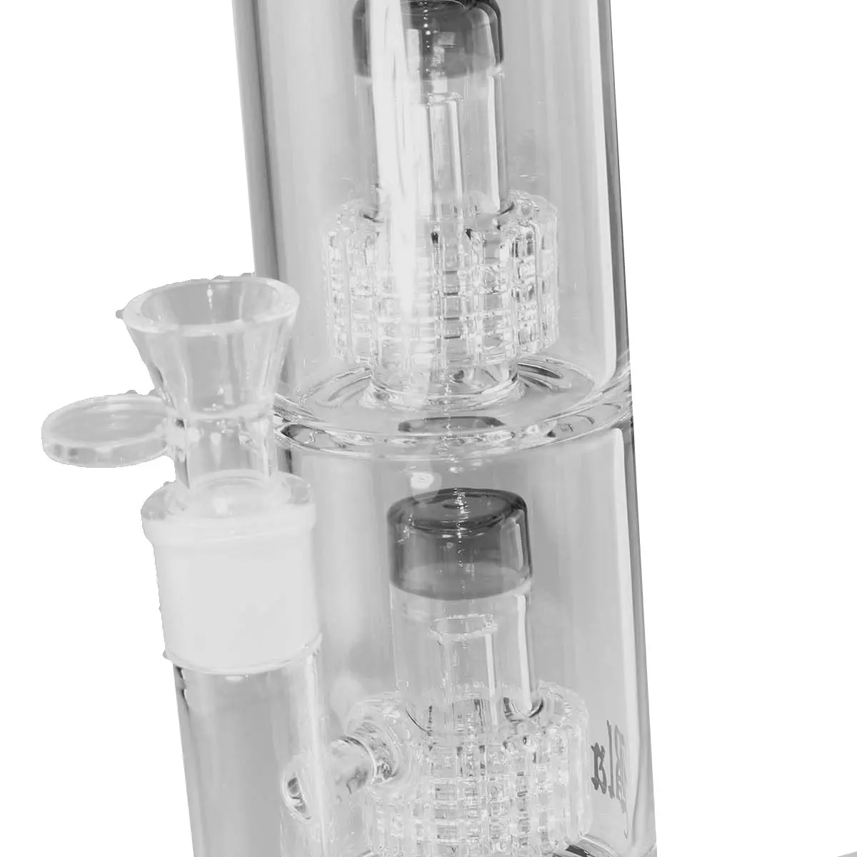 Black Leaf 'Double Drumperc'