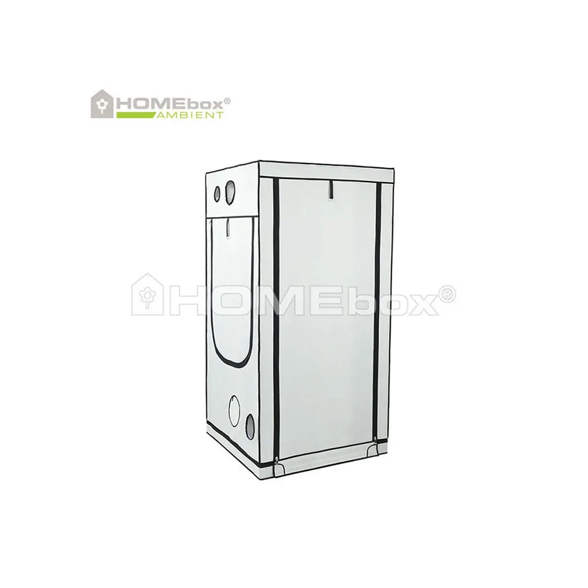 HOMEbox Ambient Q100