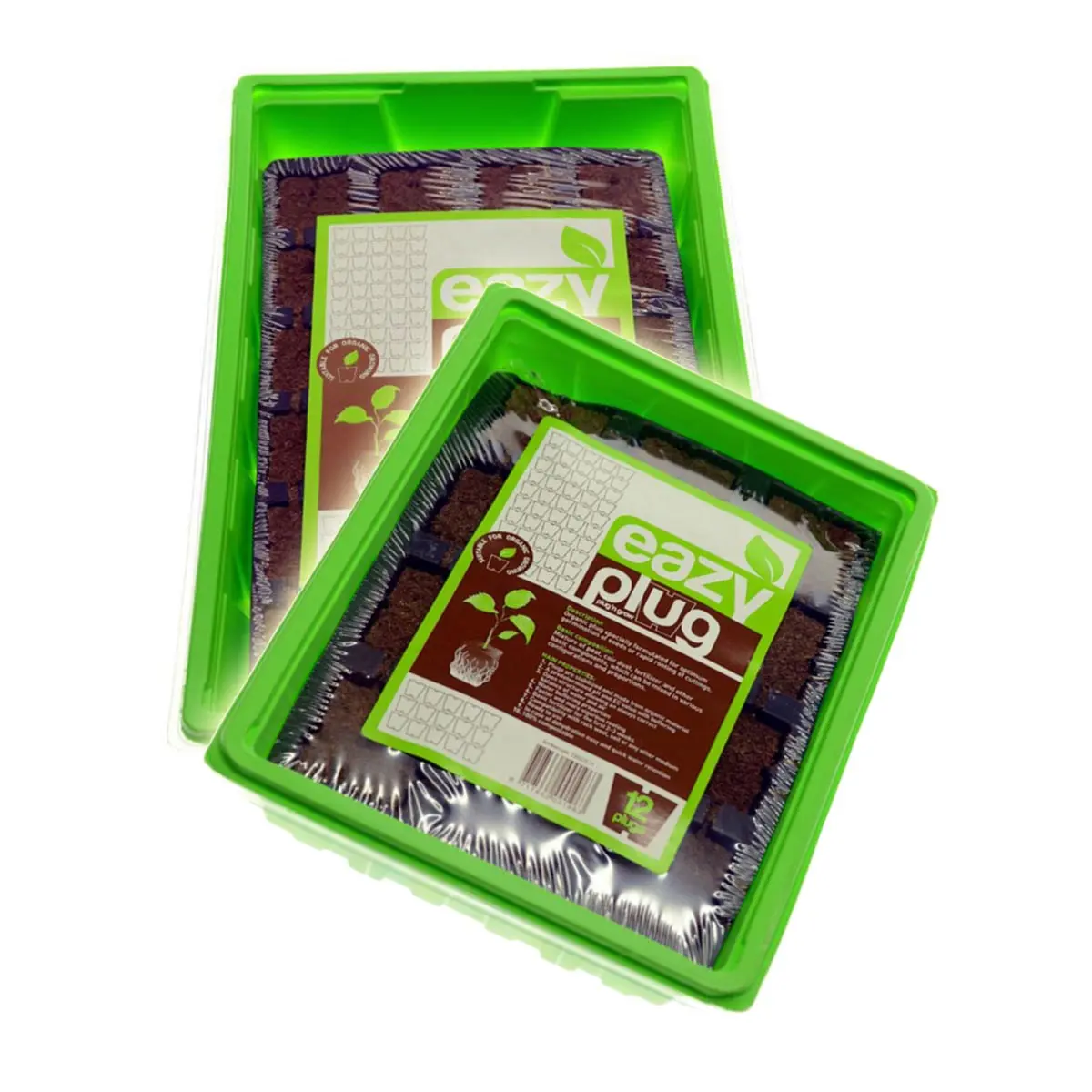 Eazy Plug bandeja para esquejes con invernadero