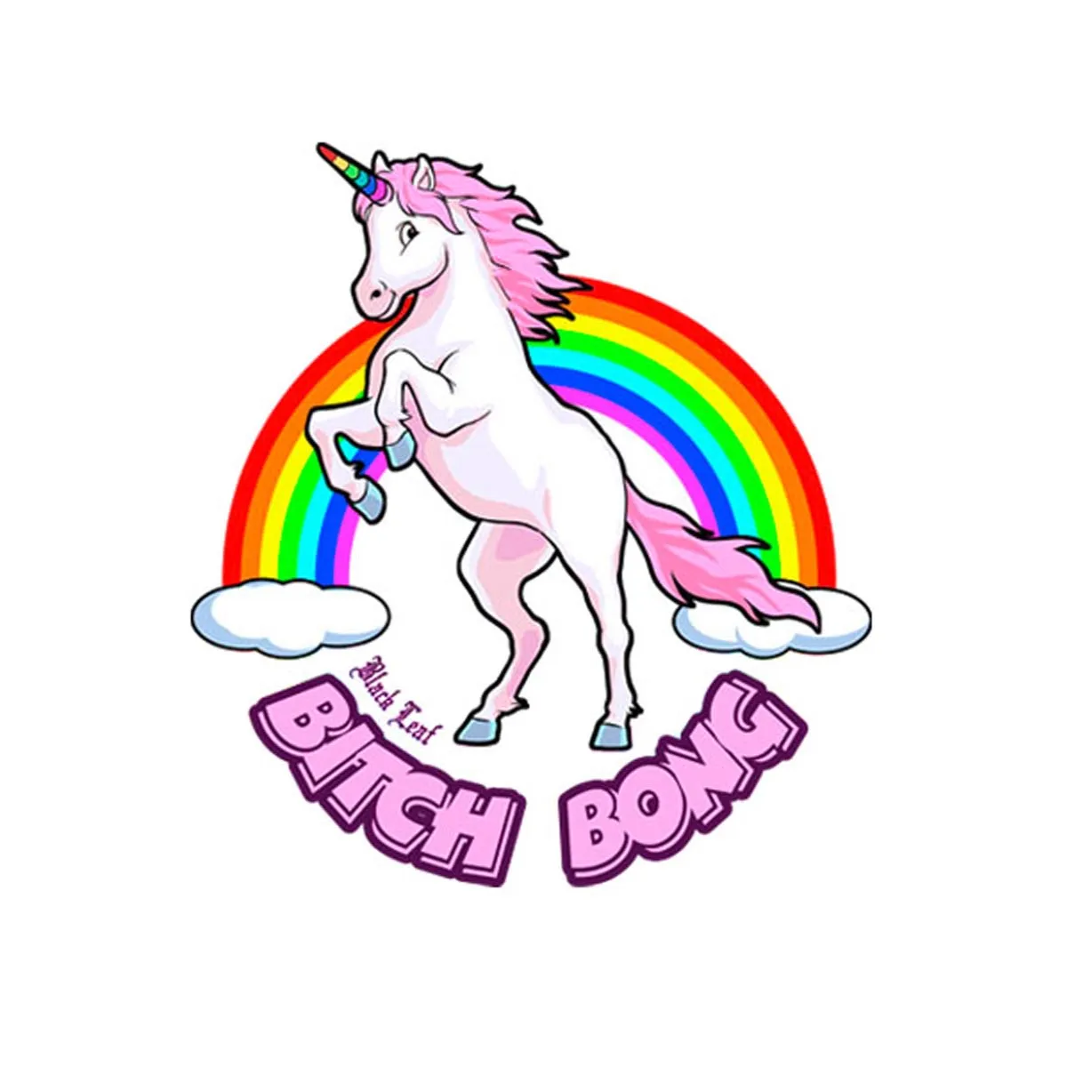 Bong en caja 'Bitch Bong' de Black Leaf con preenfriador