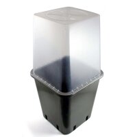 Invernadero Mini, 11 litros