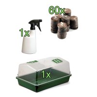 Kit de cultivo "alféizar de la ventana" - Coco