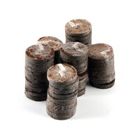 Kit de cultivo "alféizar de la ventana" - Coco