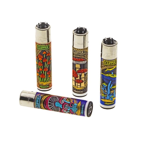Clipper Setas #5