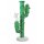 Cactus Bong