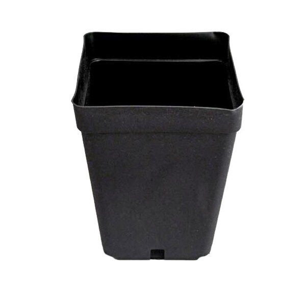Tekutainer 13 x 13 x 13 cm - aprox. 1.7L