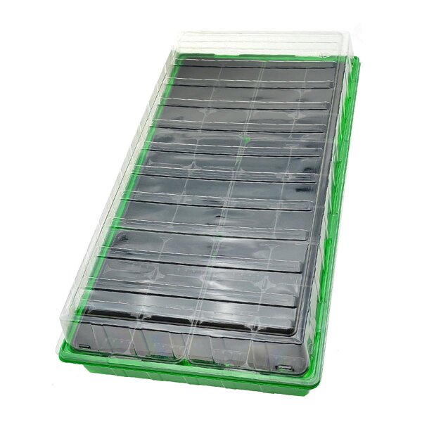 Propagador "Walter" (54 x 28 x 12 cm) + 36 macetas de plástico (6 x 6 cm)