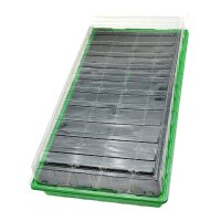 Propagador "Walter" (54 x 28 x 12 cm) + 36...
