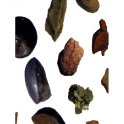 Headcase rocas