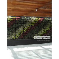 Minigarden Vertical - colores diferentes