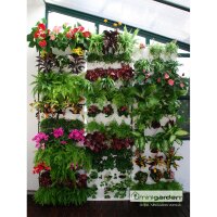 Minigarden Vertical - colores diferentes