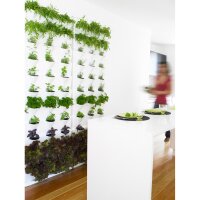 Minigarden Vertical - colores diferentes