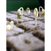 Grodan bandeja 2 x 2 x 2 cm - 150 piezas