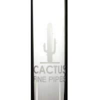 Cactus bong de cristal 46cm